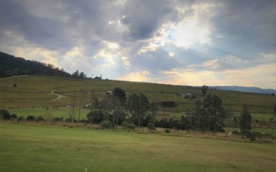 Loss, Life and the Future