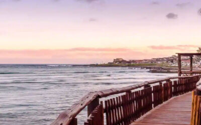 The week that was…