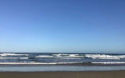 When Creative Minds Collide